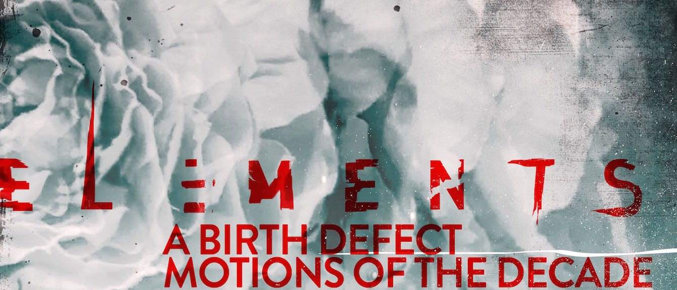 Cover image for A Birth Defect