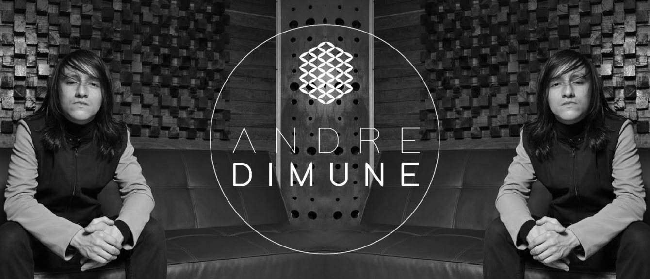Cover image for Andre Dimune