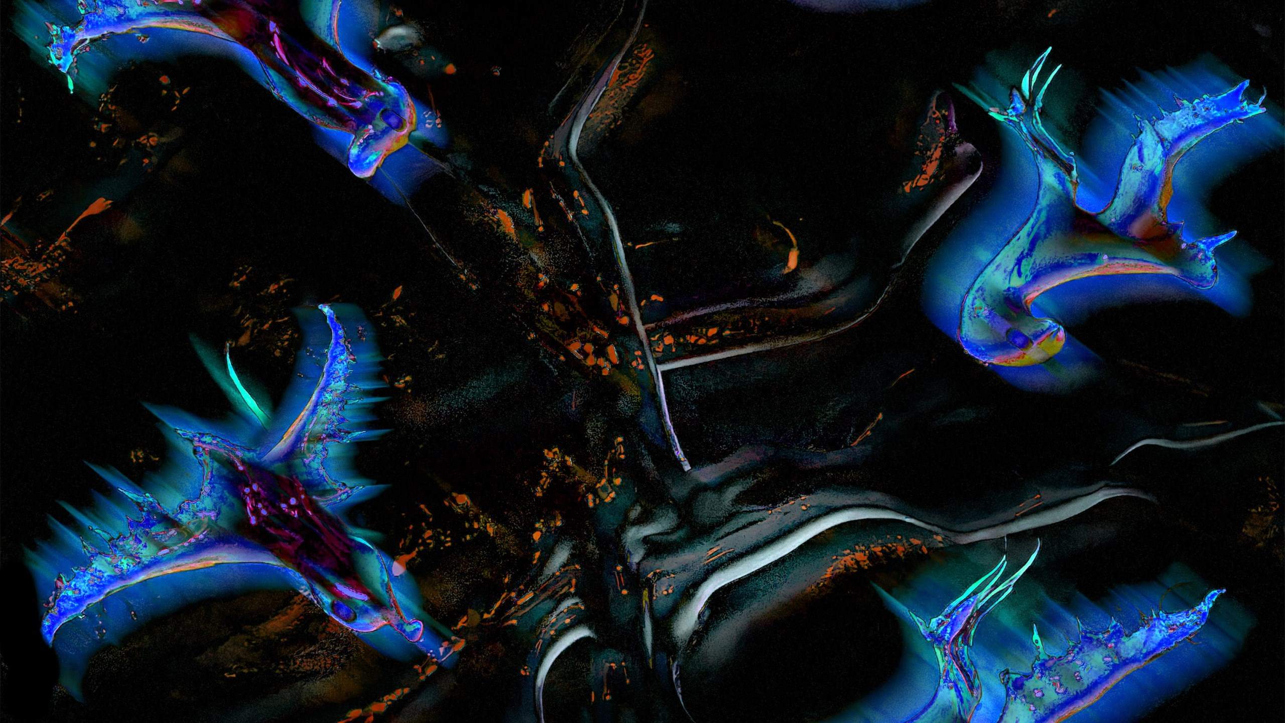 Cover image for Anh Phi