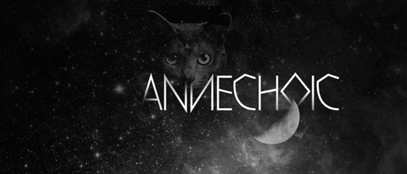 Cover image for Annechoic