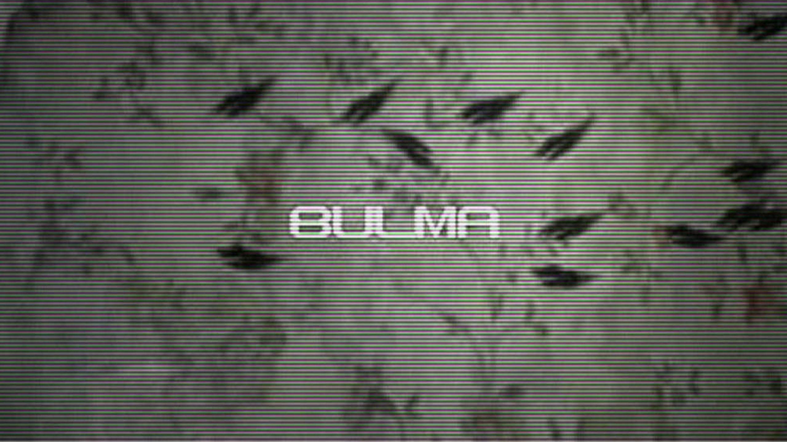Cover image for Bulma