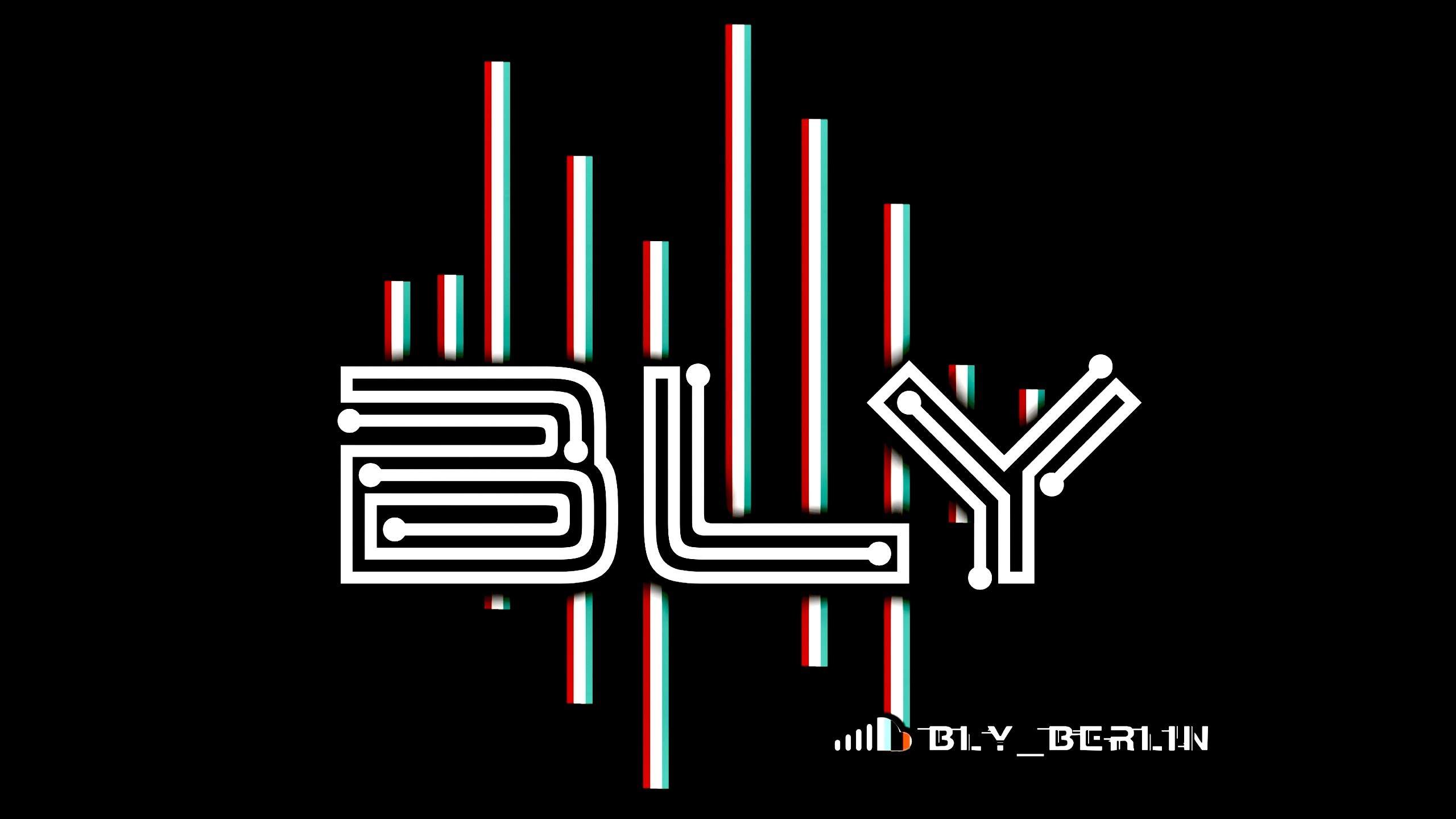 Cover image for BLY
