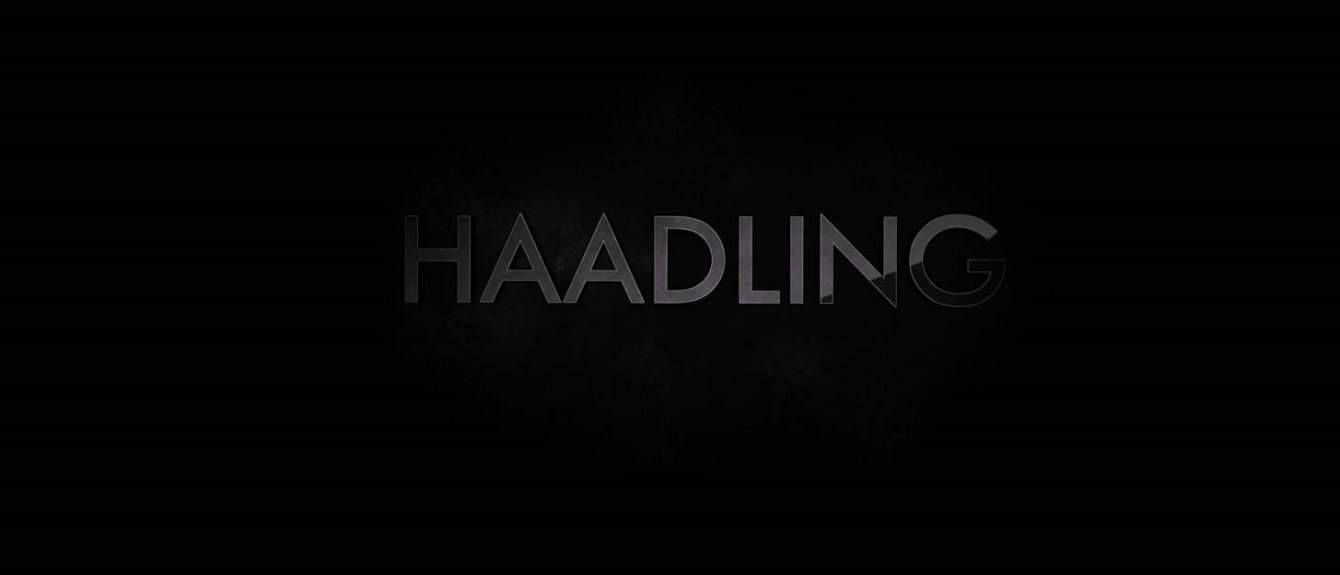 Cover image for Haadling
