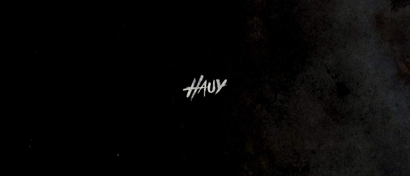 Cover image for Hauy