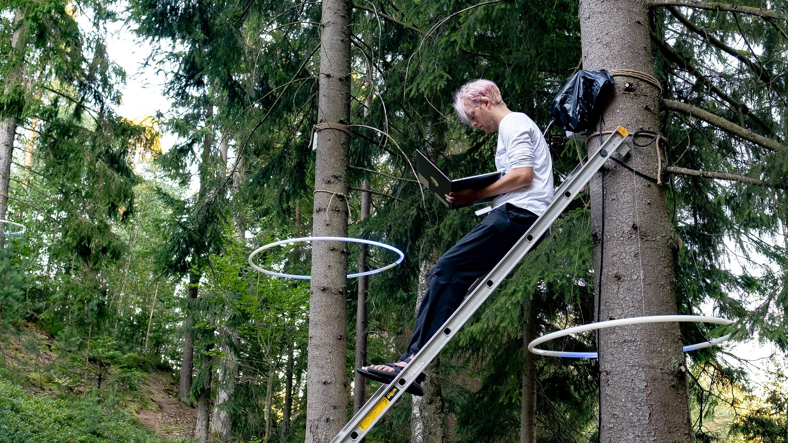 Jonas Johansson · Artist Profile