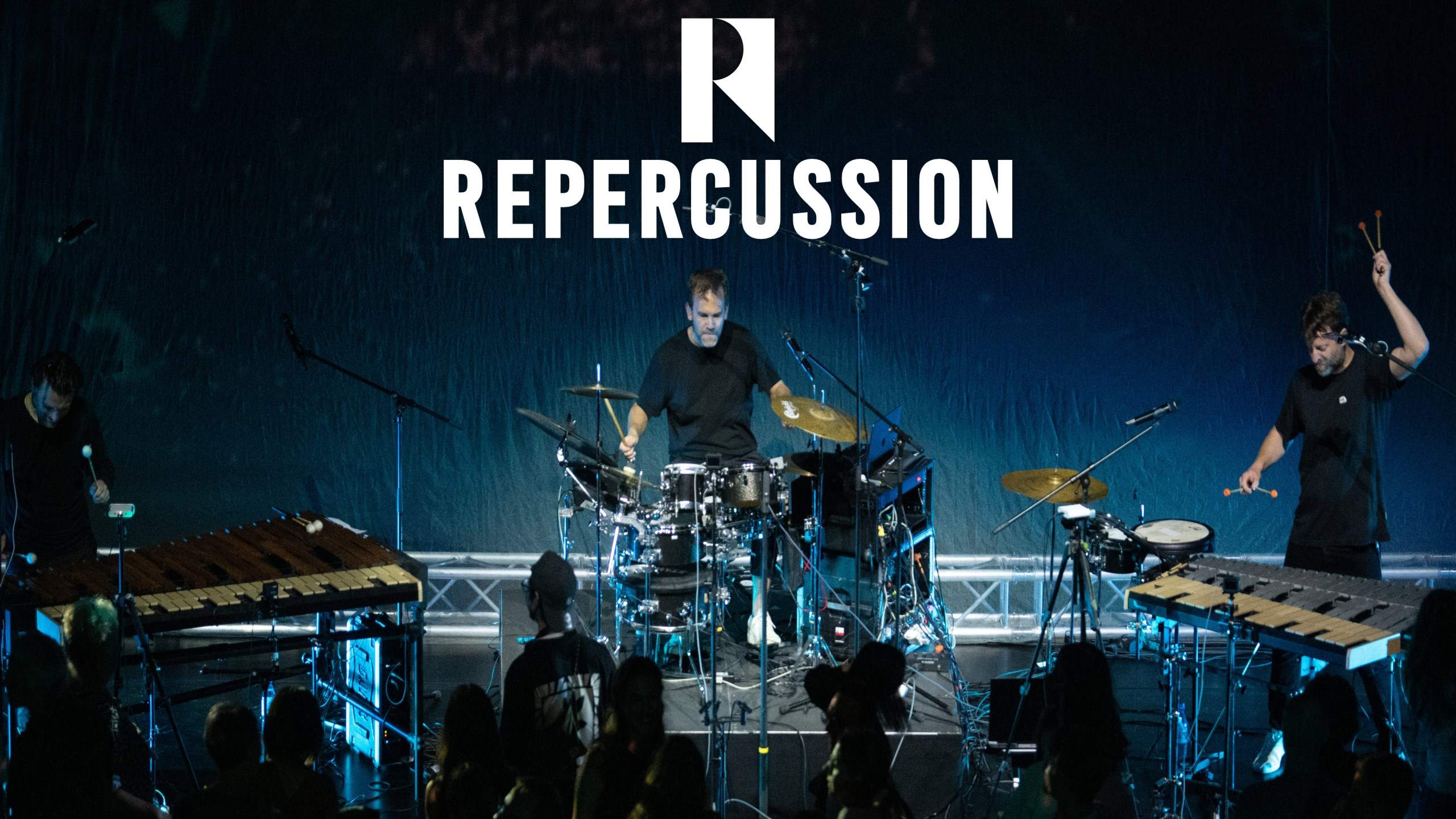 Repercussion · Artist Profile