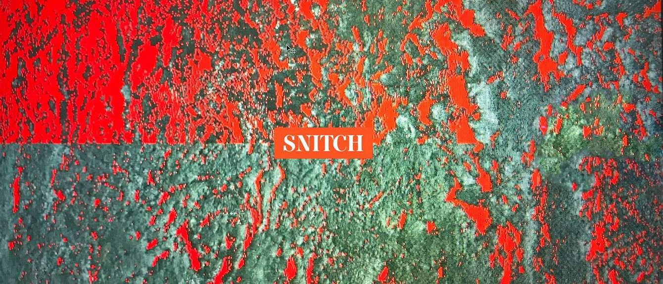 Cover image for Snitch