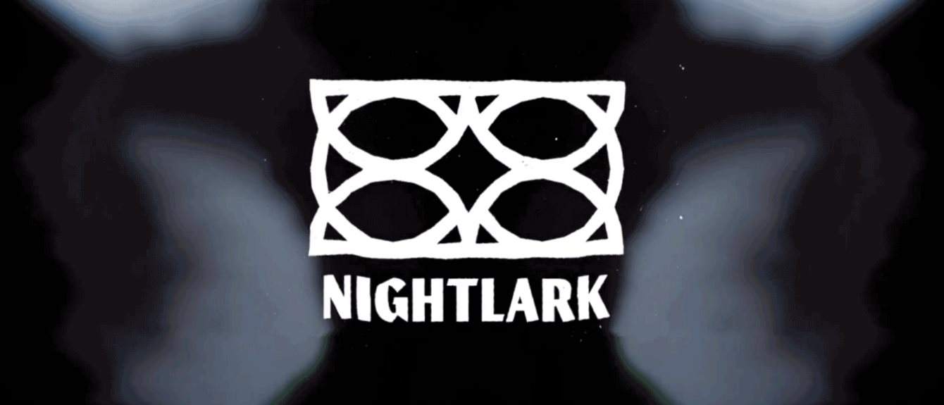 Cover image for The Nightlark
