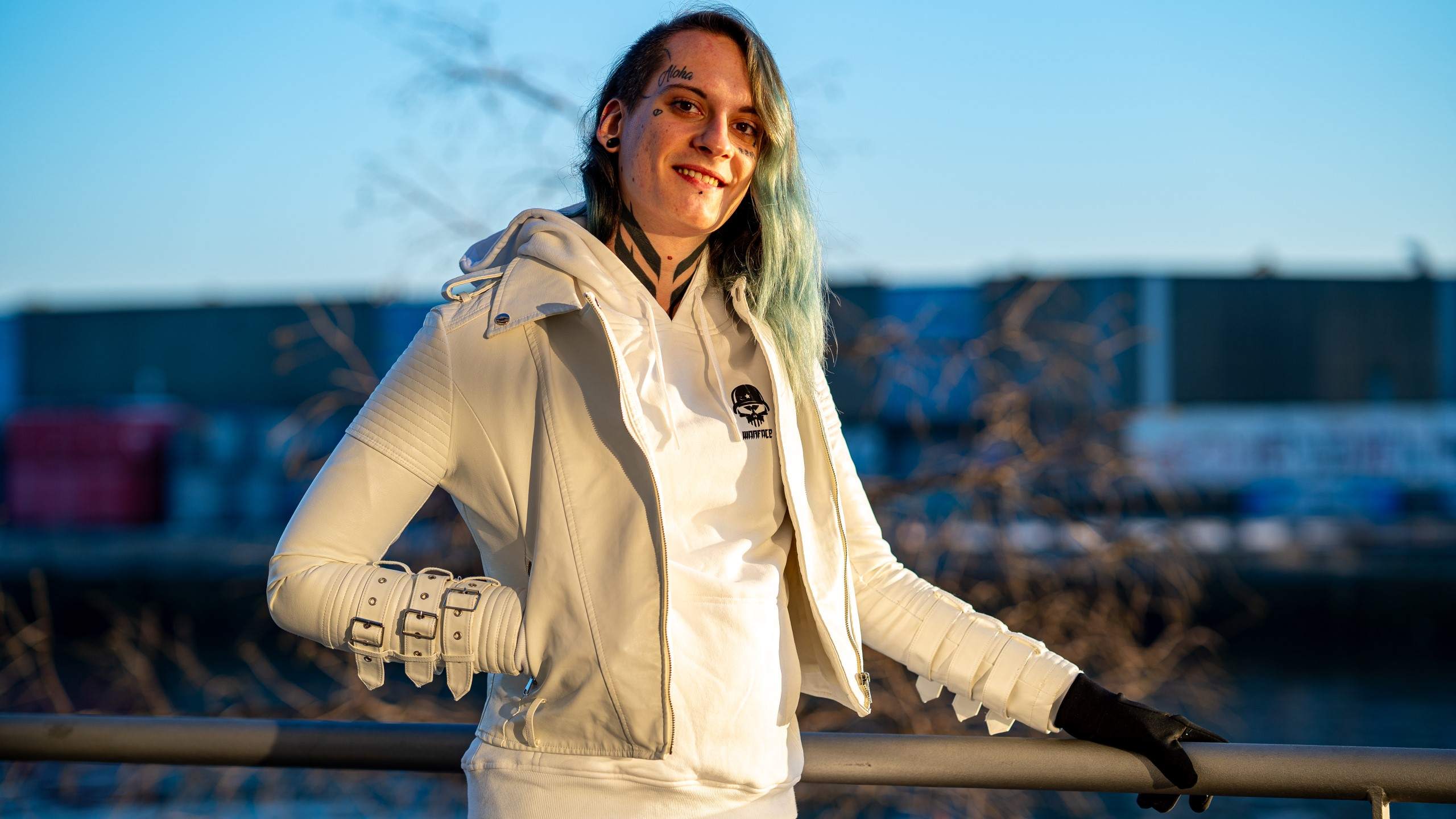 Voldex · Artist Profile
