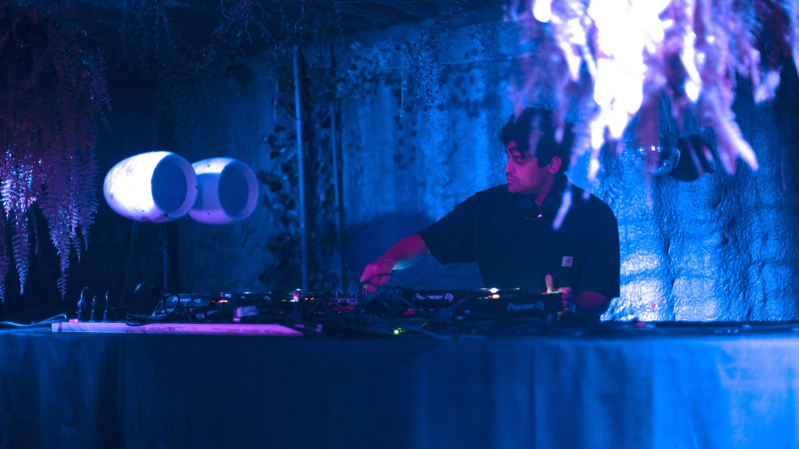 Zafar · Artist Profile