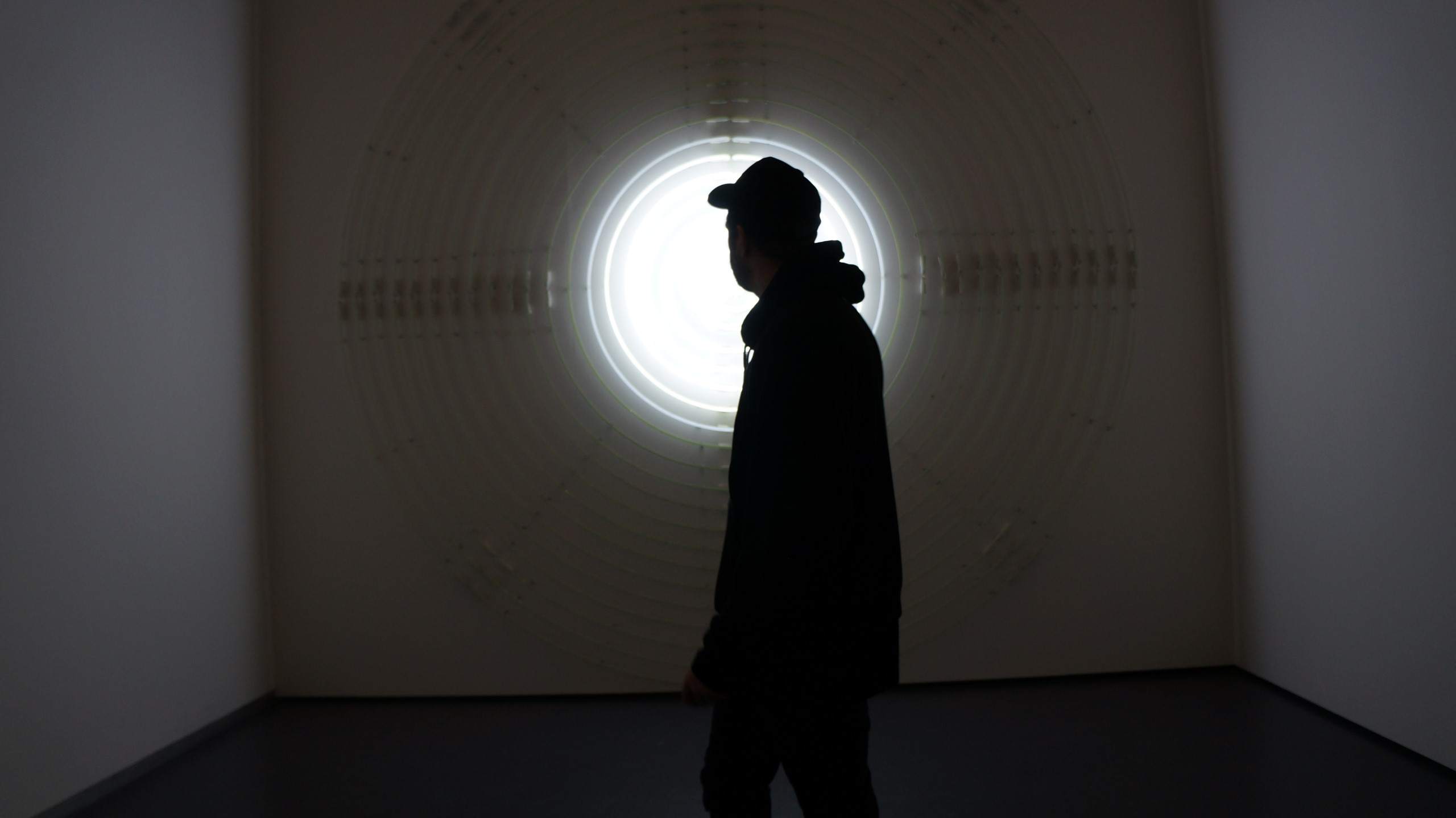 Zimmz · Artist Profile