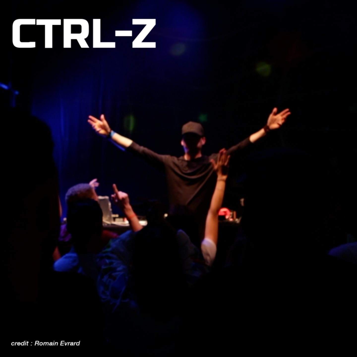 Ctrl-z artist