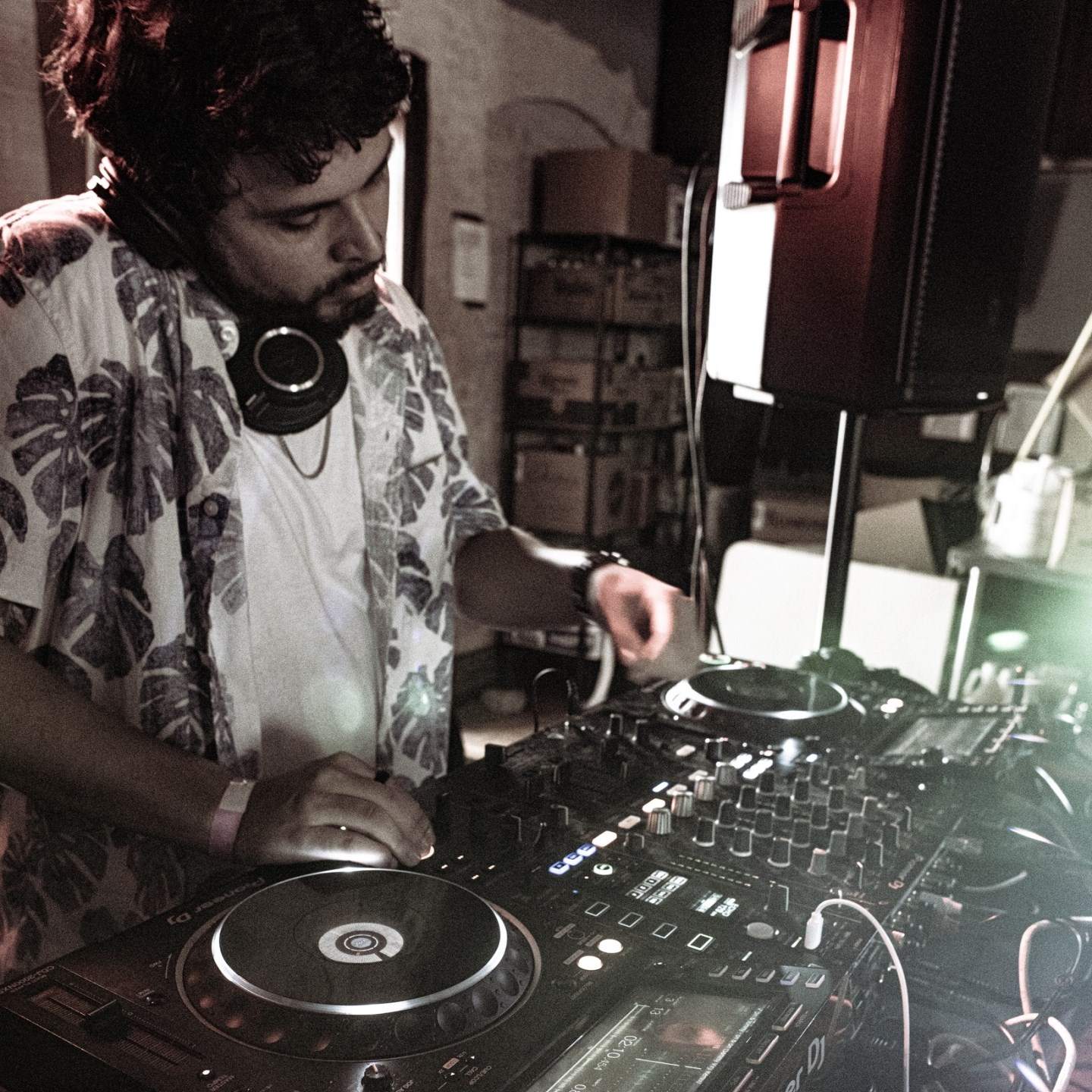 Gerdie · Artist Profile