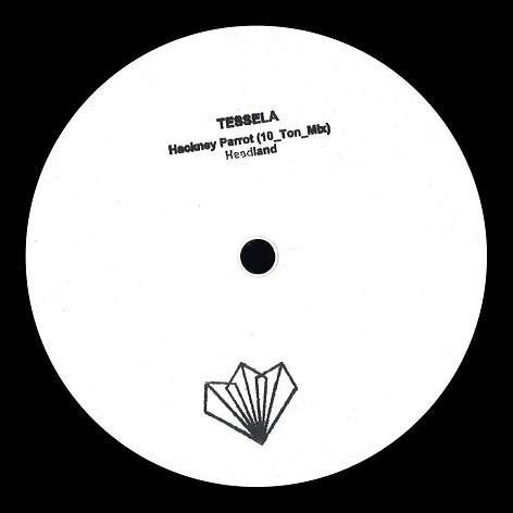 Tessela ‎- Hackney Parrot (10 Ton Mix) / Headland · Single Review RA