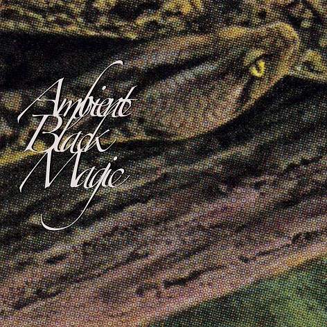 洋楽 Rainforest Spiritual Enslavement Rainforest Spiritual Enslavement - Ambient Black Magic · Album