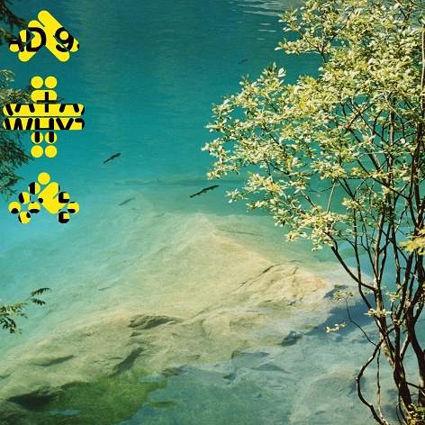 Avalon Emerson & the Charm - Written Into Changes · Album Review ⟋ RA