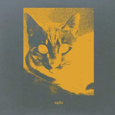 Haruka · Artist Profile