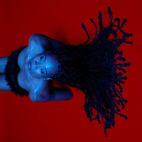 Benga - Diary of an Afro Warrior · Album Review ⟋ RA