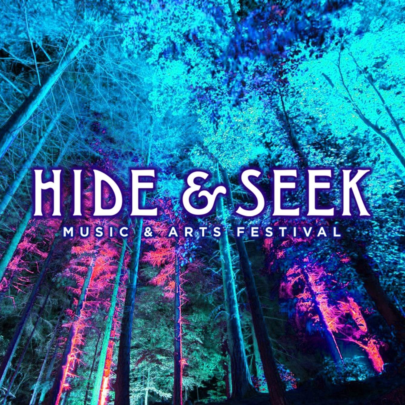 Hide&seek Festival 2022 - Flyer front