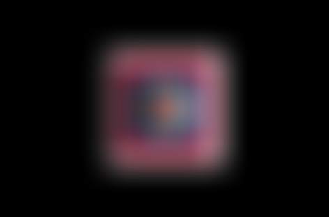 Dekmantel Festival 2014 at Amsterdamse Bos, Amsterdam