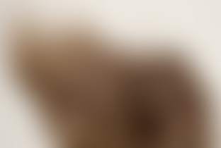 Erika · Artist Profile