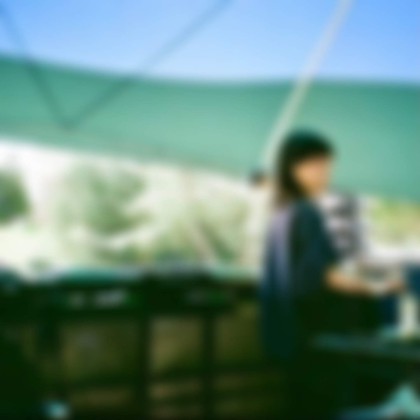 akkie ミュージシャン
