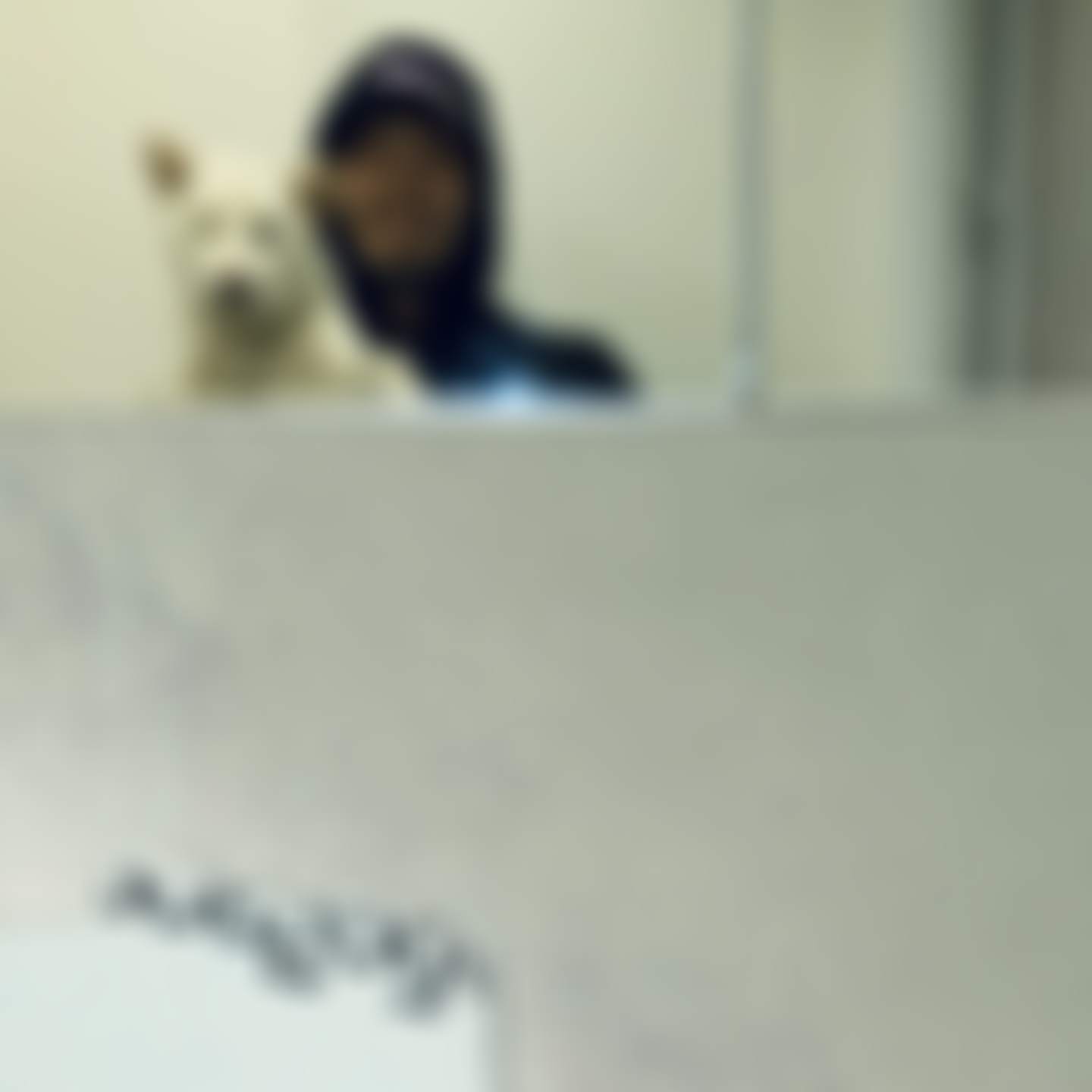 プロフィールお読みくださいページ Y