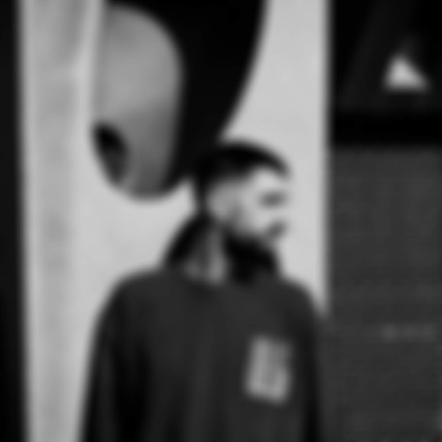 Shins · Artist Profile