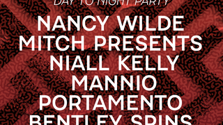 Polar Disco Day to Night Party