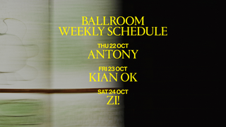 Ballroom at Palais: Kian OK