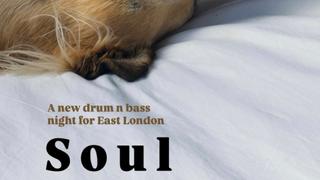 Soul Focus