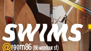 SWIMS (Downtempo, House, Leftfield, Ambient)