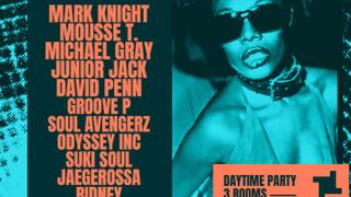 Fool's Paradise: Mark Knight, Mousse T., Michael Gray, Junior Jack, David Penn, Groove P + more