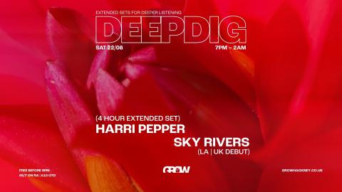 DeepDig: Harri Pepper (4 Hours) // Sky Rivers