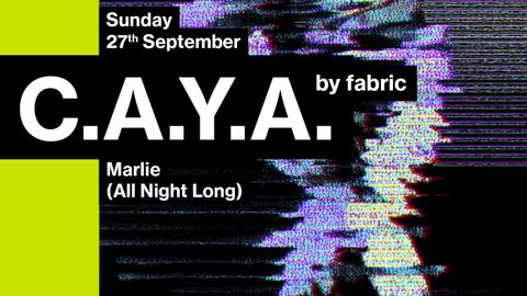 CAYA by fabric: Marlie (All Night Long)