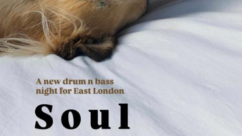 Soul Focus