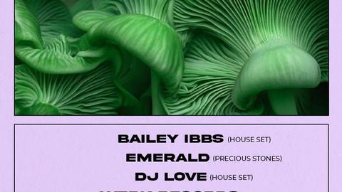 Starlane presents: Bailey Ibbs, Emerald, DJ Love, Werk Records