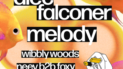 breakthewire Day Party: Alec Falconer, Melody, Wibbly Woods & Neev b2b Foxy