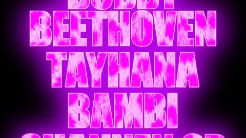 Shannen SP presents: Bobby Beethoven / TAYHANA / Bambi / Shannen SP
