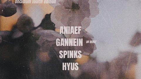 Elata: Aniaef invites Gannein
