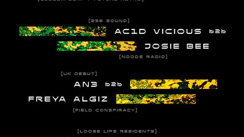 Lu:k (UK debut) + Dwarde b2b Abby Daze + Ac1d Vicious b2b Josie Bee + more (Loose Lips)