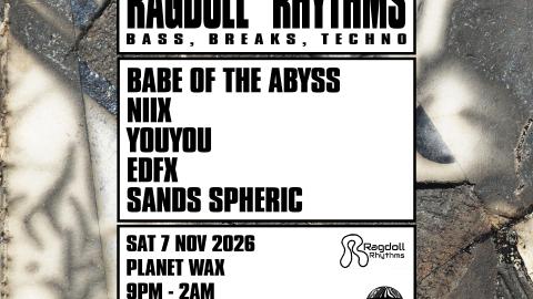 Ragdoll Rhythms: Bass, Breaks, Techno