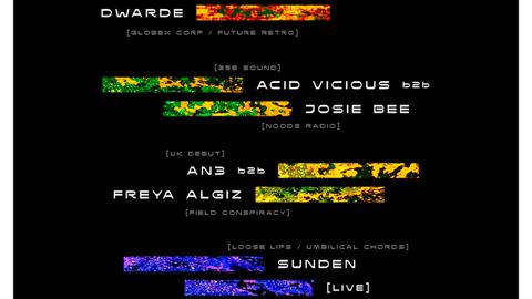 Lu:k (UK debut) + Dwarde b2b Abby Daze + Ac1d Vicious b2b Josie Bee + more (Loose Lips)