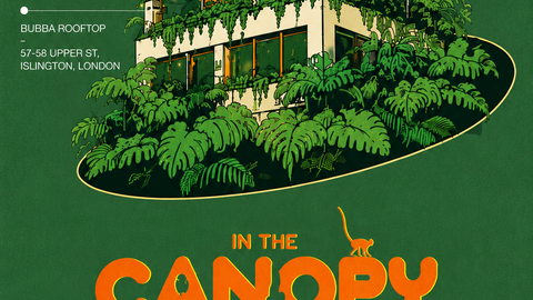 In The Canopy Rooftop Party