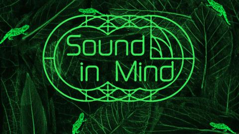 Sound in Mind #5