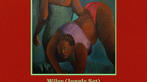 TB Carnival Jam 2026: Wiley (Jungle Set), FAUZIA, Nídia, Kikelomo, ZENA meet SLICKNBOBBY & More