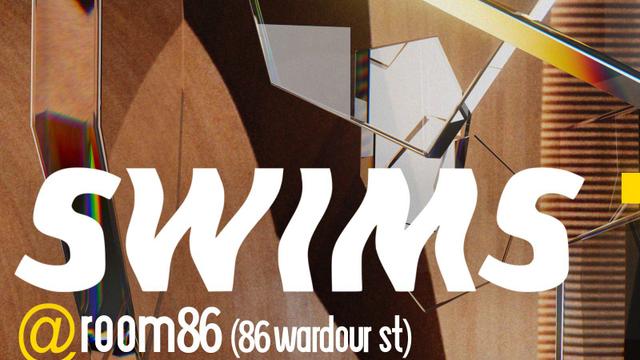 SWIMS (Downtempo, House, Leftfield, Ambient)