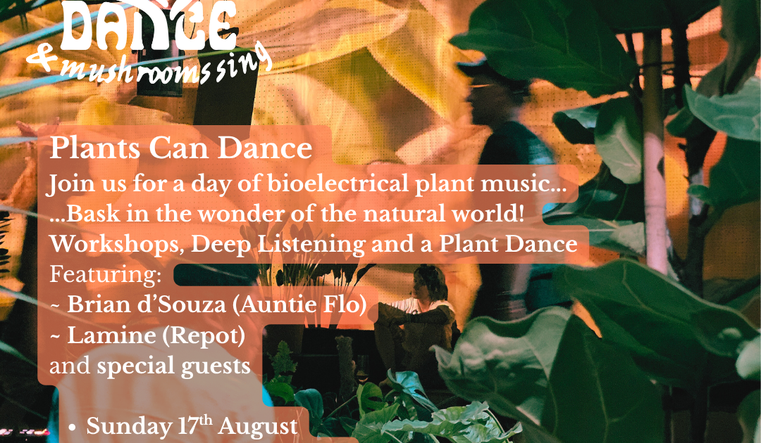 Plants Can Dance at NUMBER 90 LONDON, London