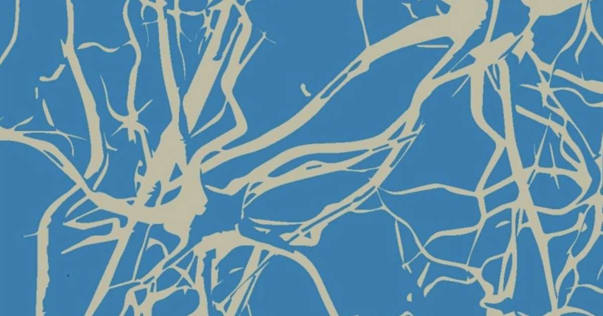 Outrebleu ᚒ nthng (Extended set) ᚒ Lastvuska + 𝘭𝘪𝘷𝘦 𝘝𝘑𝘐𝘕𝘎 bei Petit ...