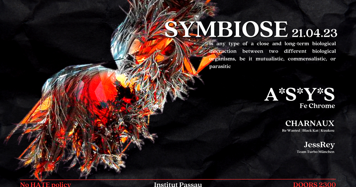 Symbiose with A*S*Y*S at Institut Passau, Bavaria